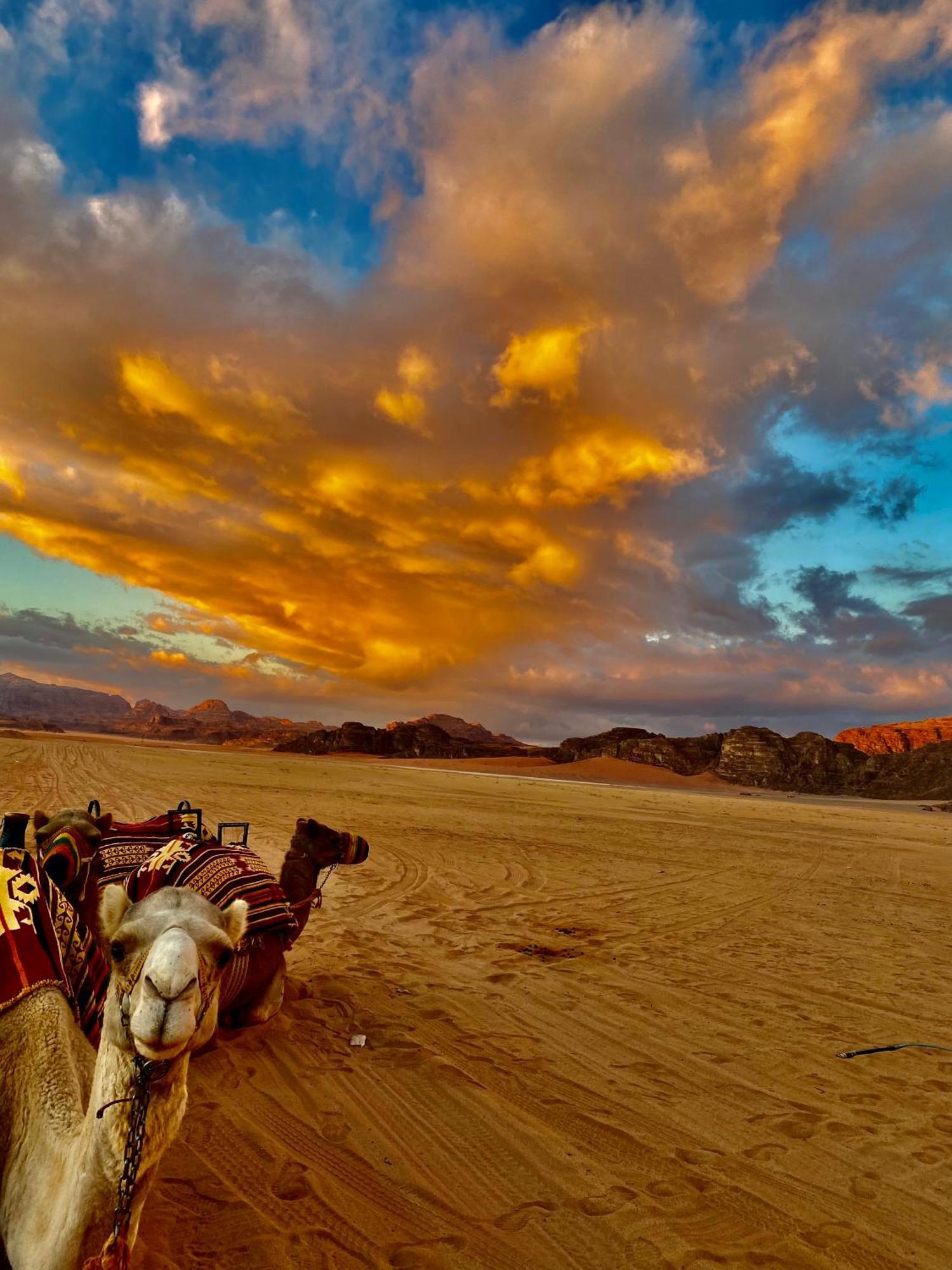 Rum Four Mountain Luxury Camp วาดิรัม ภายนอก รูปภาพ